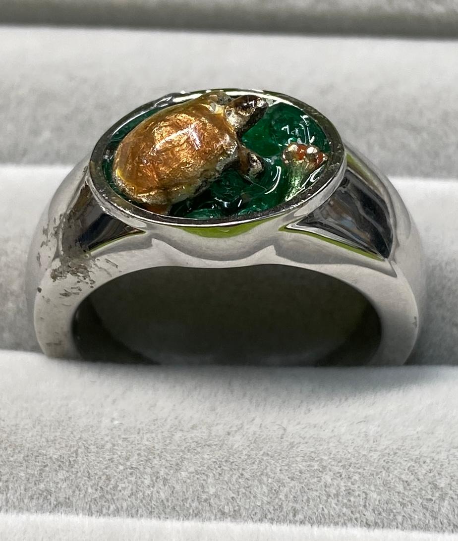 草の上で遊ぶ陸亀さんのリング